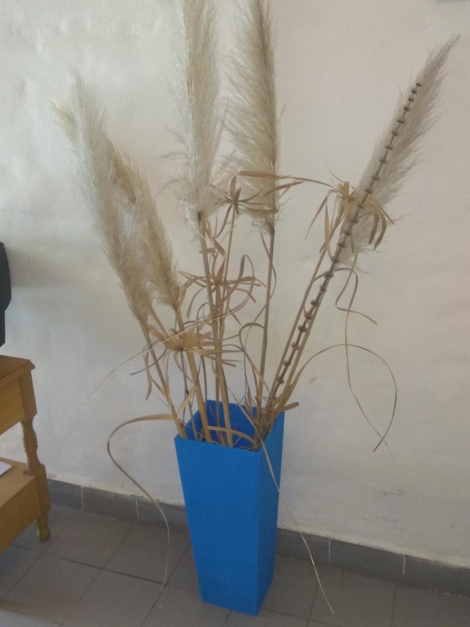 Appartamento Complejo Viejo Sulky Mina Clavero Esterno foto